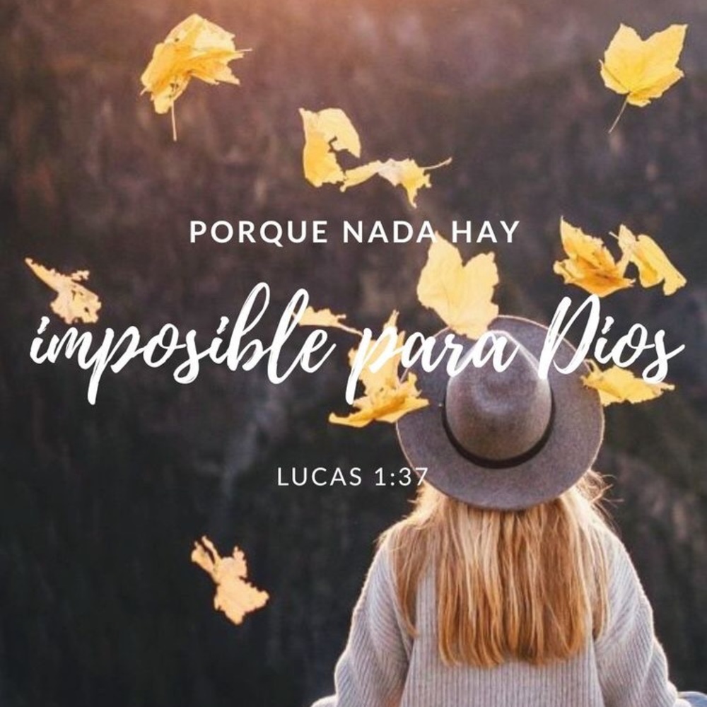 Meet your Posher, Mey